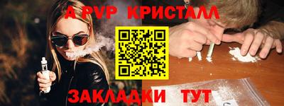 дмт Кингисепп