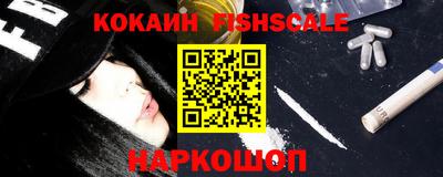 дмт Кингисепп