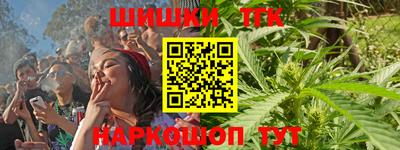 дмт Кингисепп