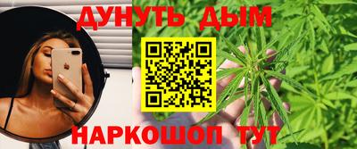 дмт Кингисепп
