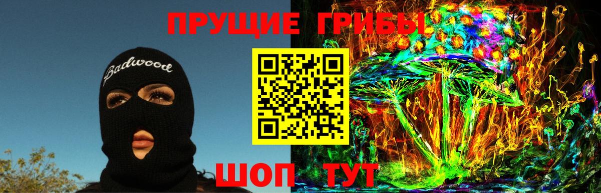 Галлюциногенные грибы Psilocybe Конаково