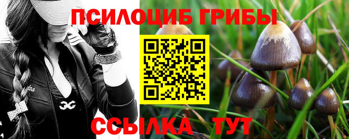 купить наркоту  Галлюциногенные грибы мицелий  Конаково  Вход с VPN  Галлюциногенные грибы MAGIC MUSHROOMS 